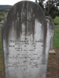 image of grave number 219079